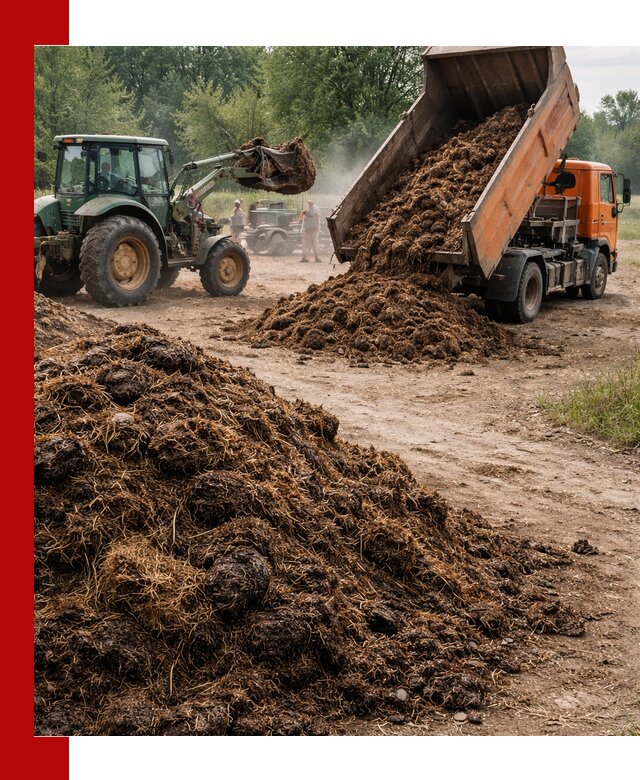 Доставка навоза самосвалами в Глазове для сельхозпотребностей